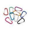 Karabiner Klein Schlüsselanhänger